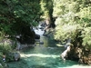 阿寺渓谷　初夏　（大桑村野尻）
