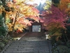 定勝寺　紅葉　（大桑村須原）