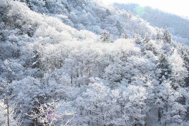 雪景色　（大桑村）