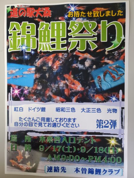 9/17（土）9／18（日）
木楽舎入口テントにて錦鯉祭りを開催いたします。
大きくなった鯉をたくさんご用意してお待ちしております。
9/17.18は皆様道の駅大桑にお越しください。